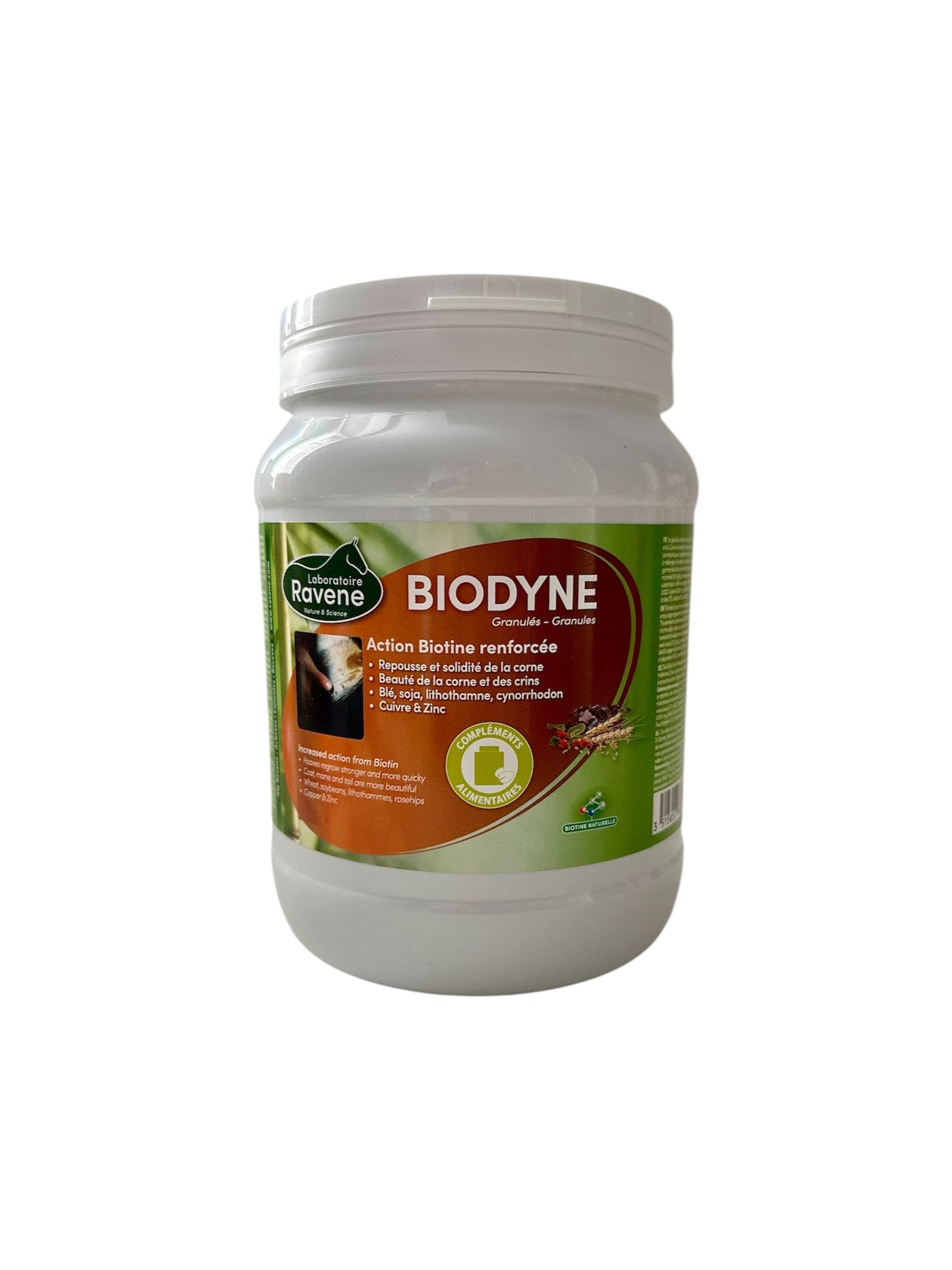 Biodyne B.M