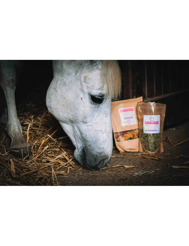Crackers Cheval Ail des Ours B.M