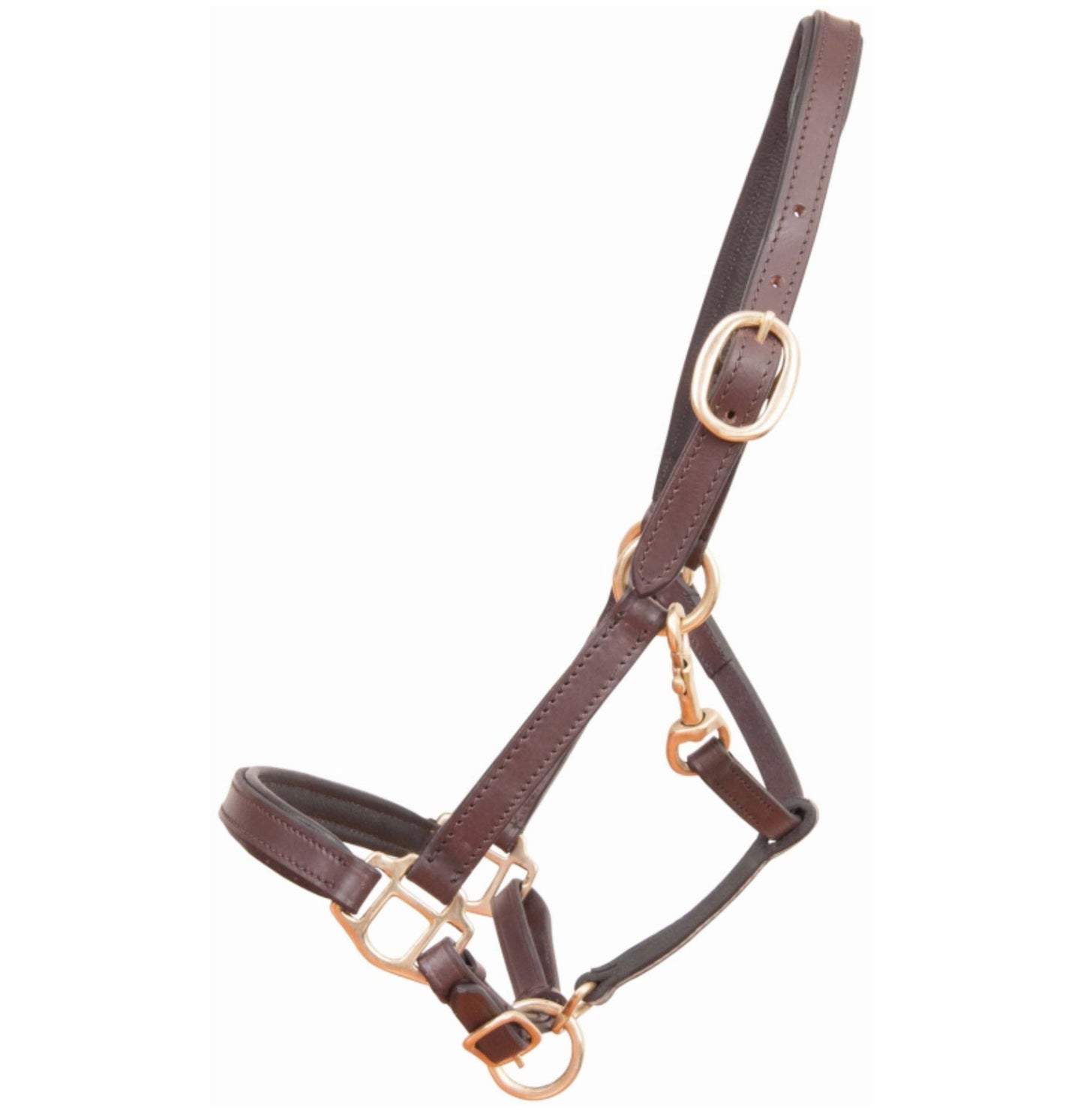 Licol Cuir Foal - B.M sellerie