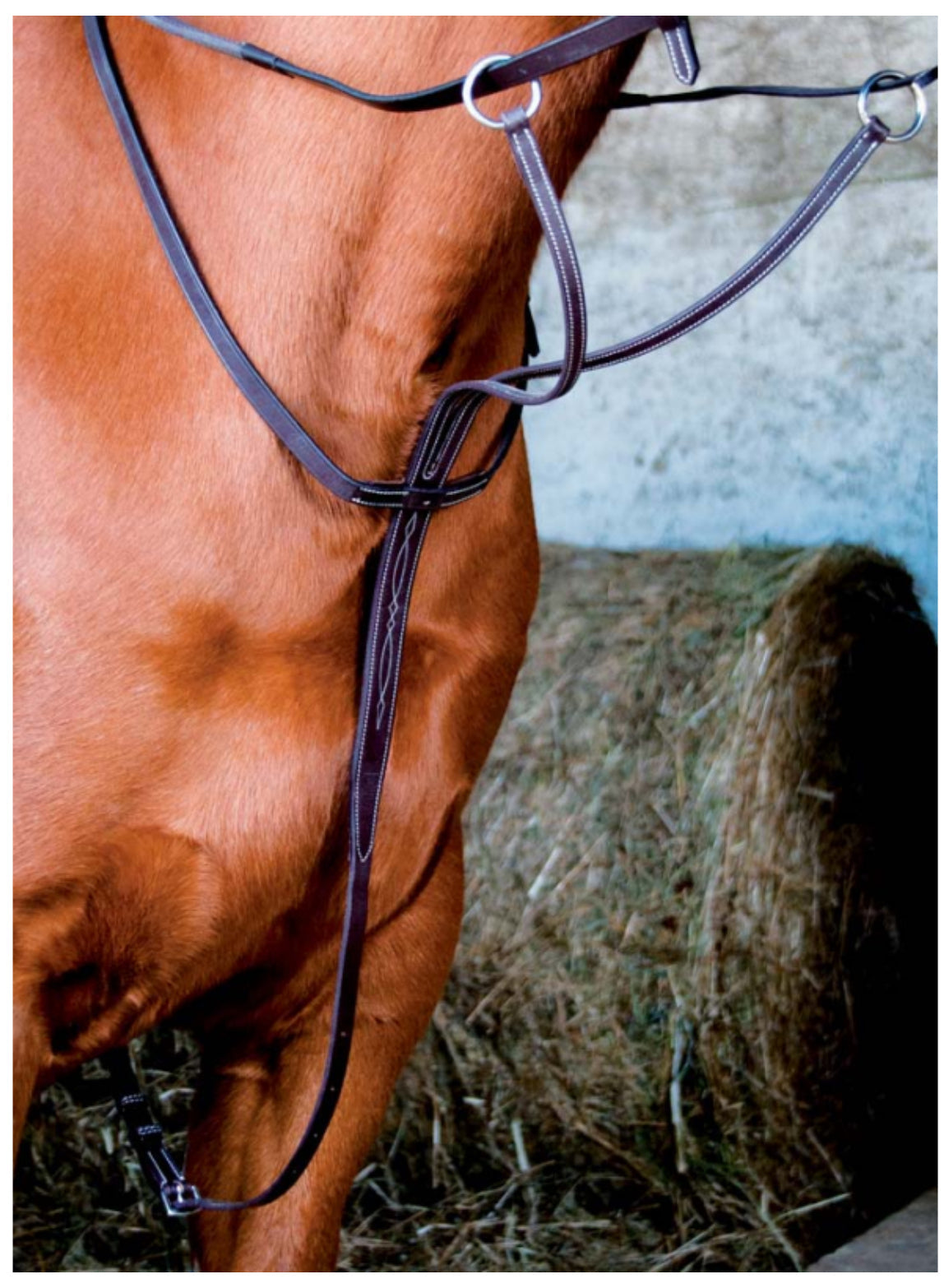 Martingale - B.M sellerie