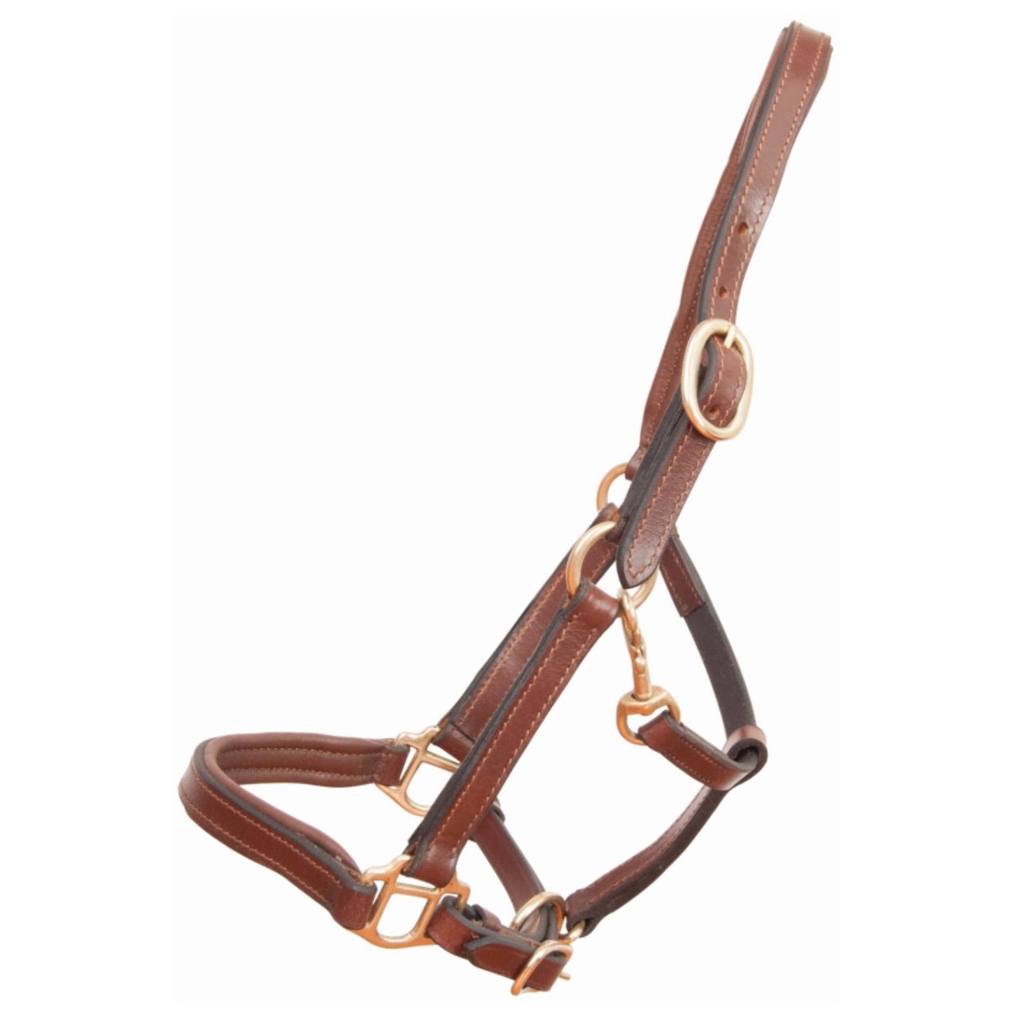 Licol Cuir Foal B.M