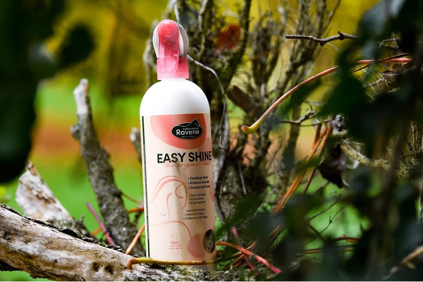 Easy shine B.M