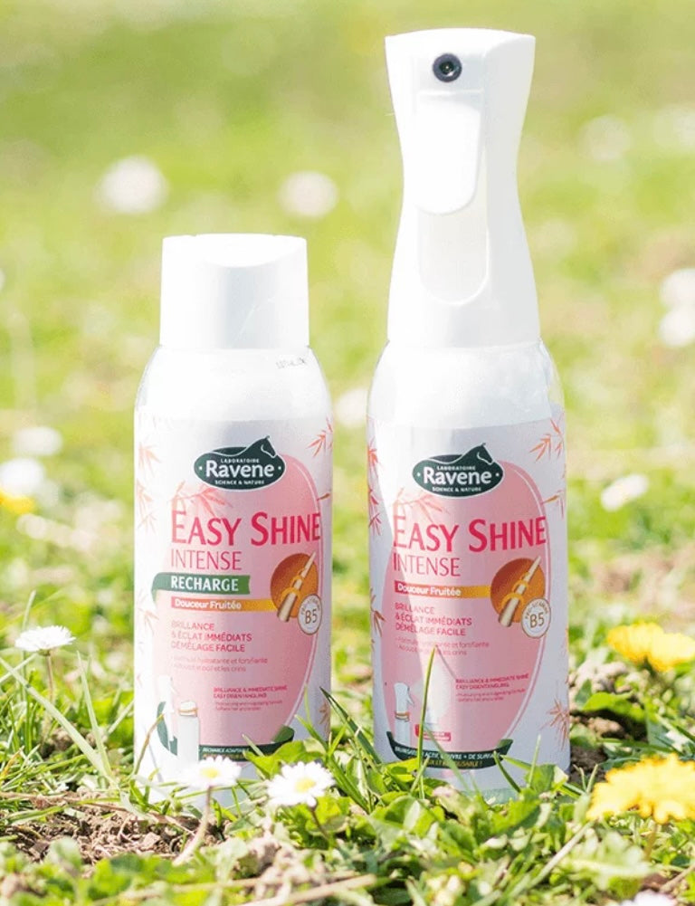 Recharge Easy shine intense B.M