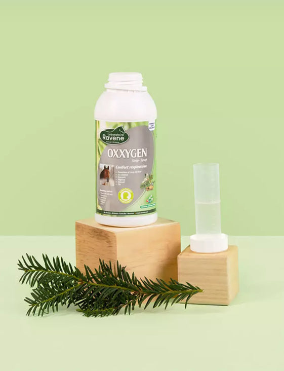 Ravene - Oxxygen B.M