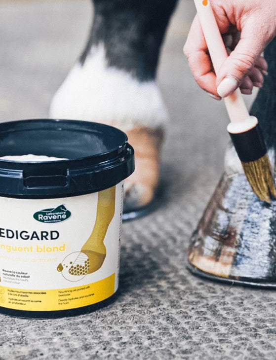 Ravene - Pedigard Onguent Blond B.M