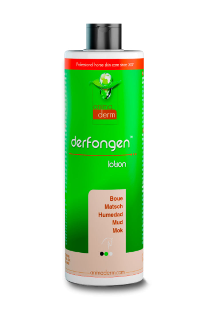 Derfongen B.M