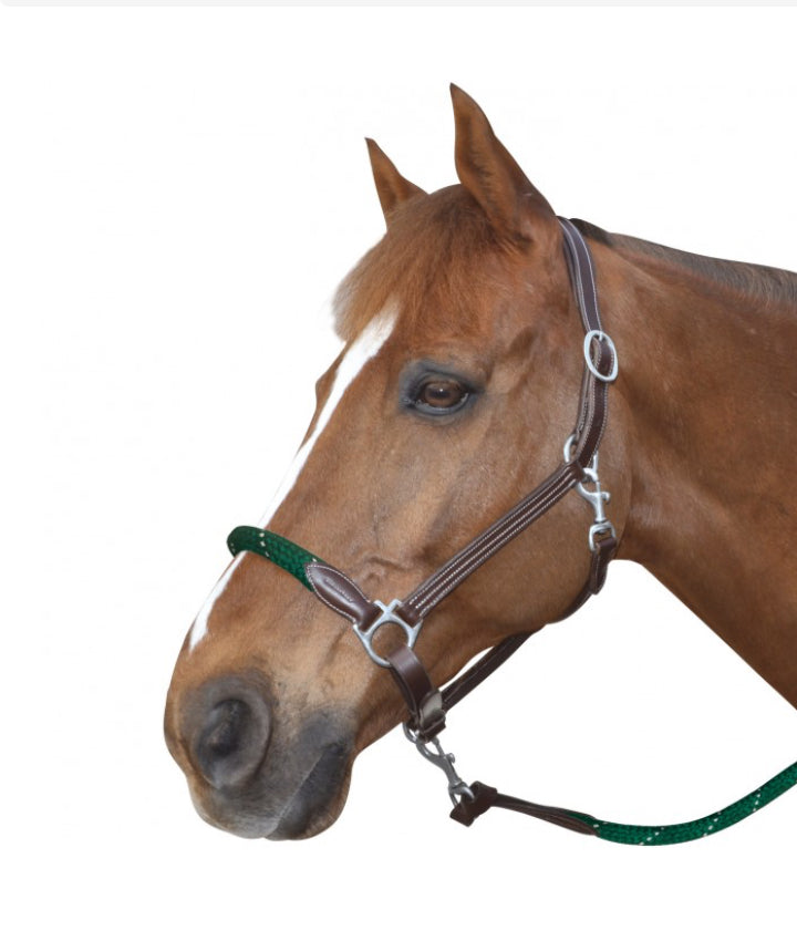 Licol Corde Canter marron/vert forêt B.M