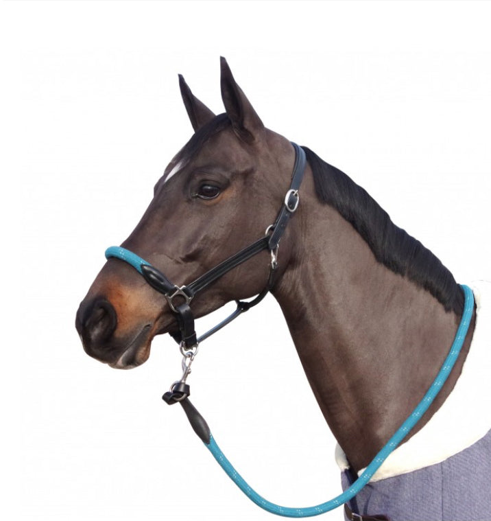 Licol Corde Canter noir/bleu pétrole B.M