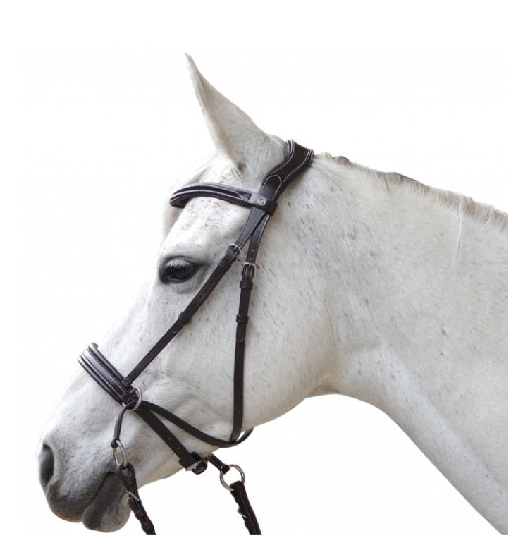 Bridon Canter bitless Évolution B.M