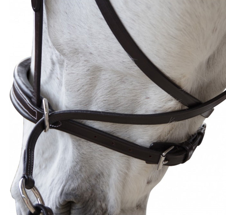 Bridon Canter bitless Évolution B.M