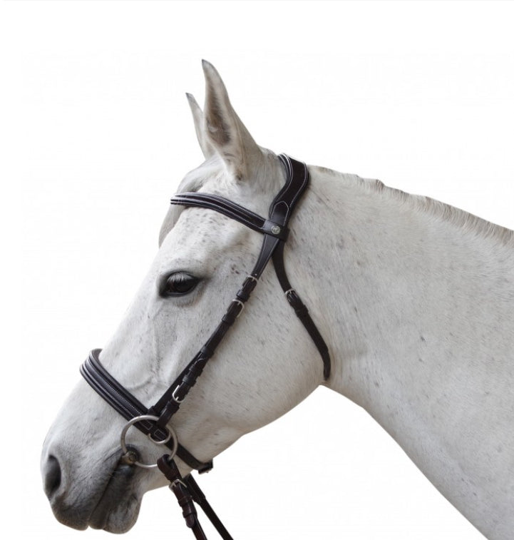 Bridon Canter bitless Évolution B.M