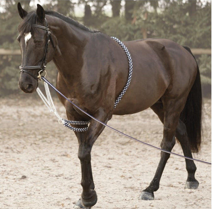 Enrênement Soft Ropt Canter marine/blanc B.M