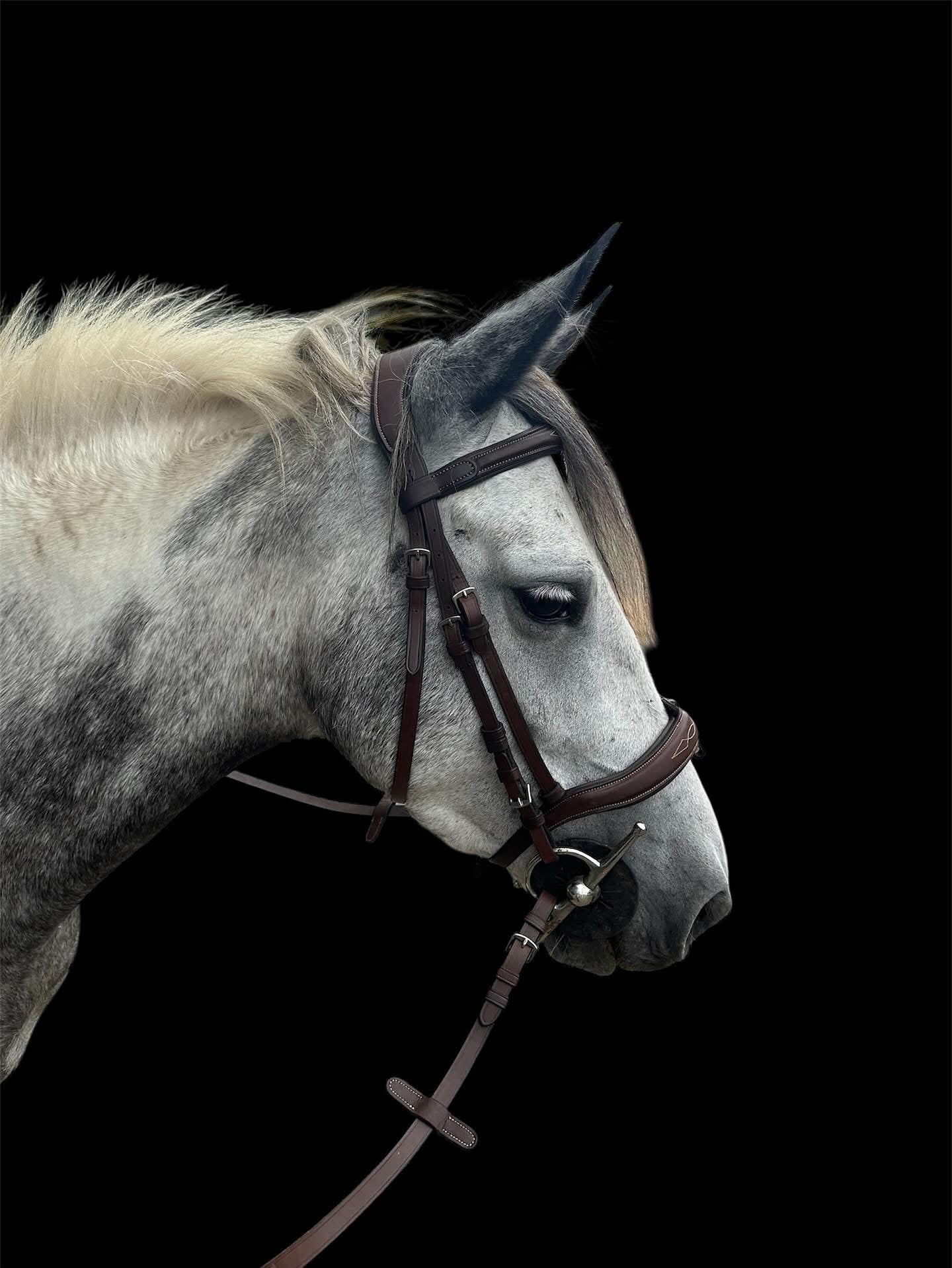 Canter- Bridon surpiqué Caracole