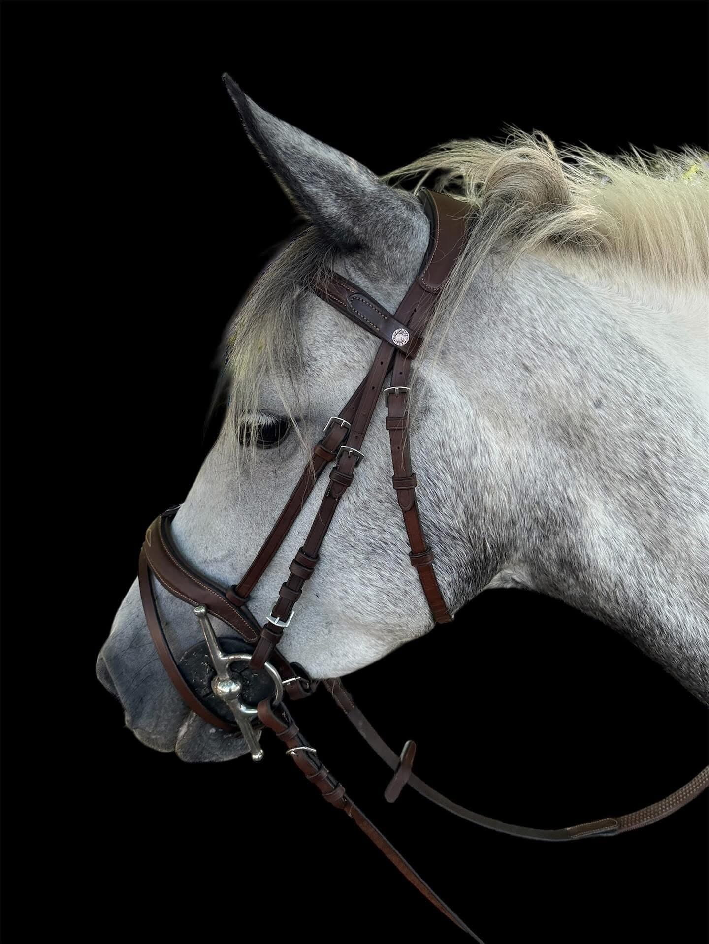 Canter- Bridon surpiqué Caracole