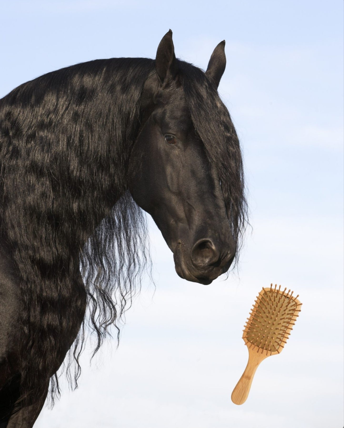 Ekizen- Brosse en Bambou