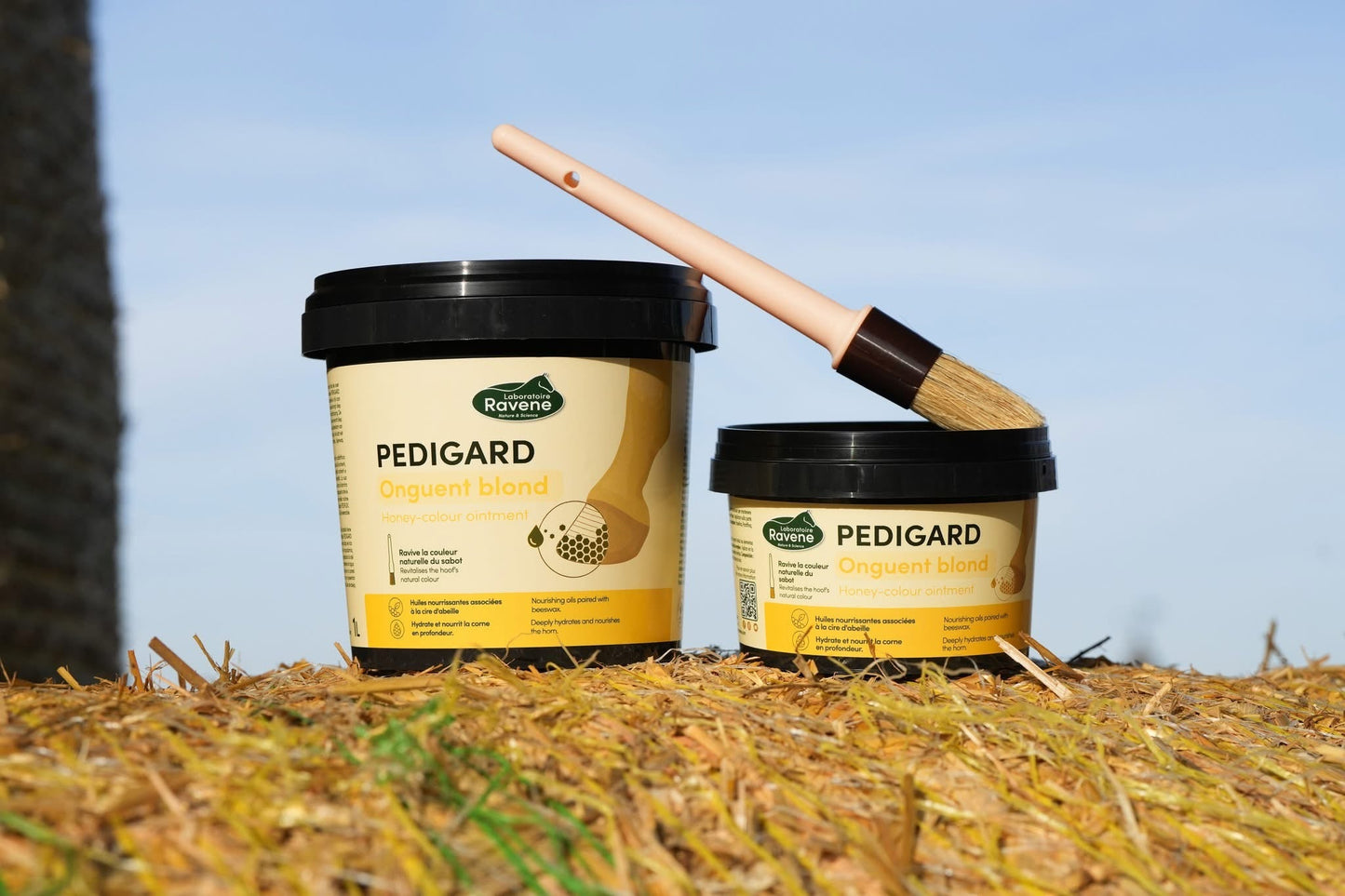 Ravene - Pedigard Onguent Blond B.M