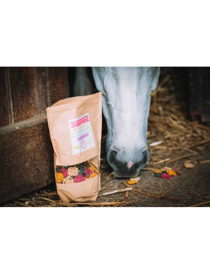 Crackers Cheval MIX 4 RECETTES B.M