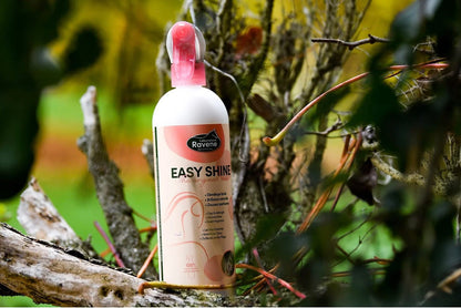 Easy shine B.M