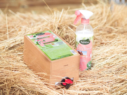Recharge Easy shine 9L B.M