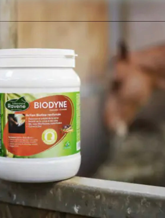 Biodyne B.M