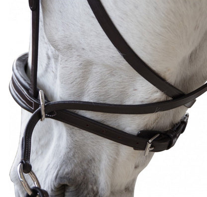 Bridon Canter bitless Évolution B.M