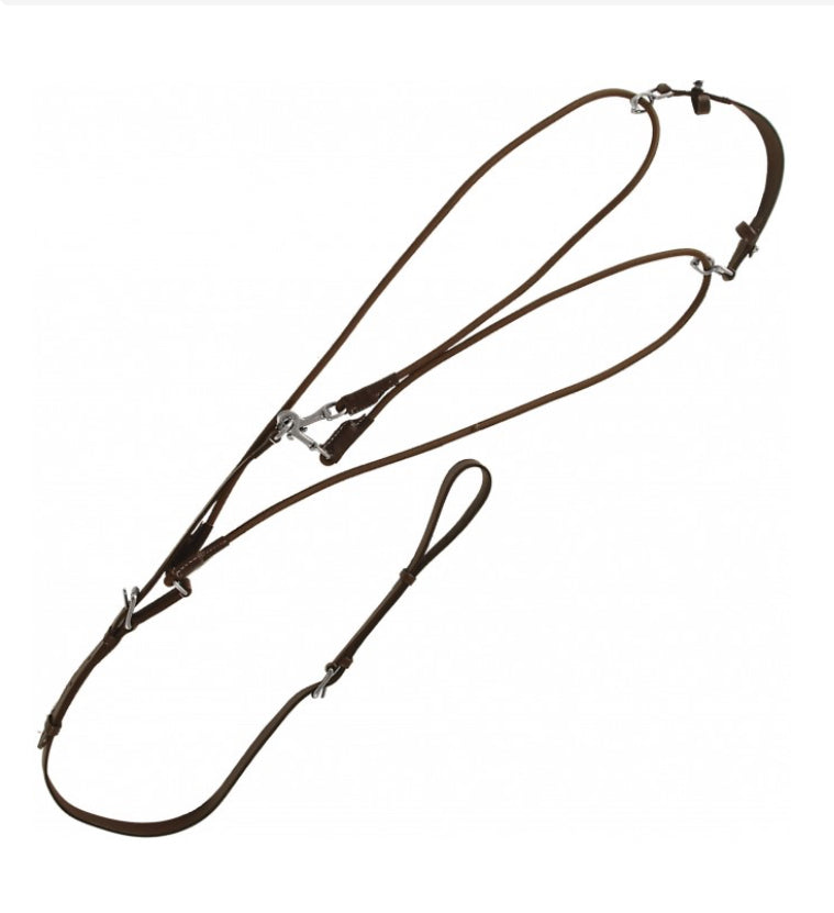 Canter- Gogue Élastique B.M