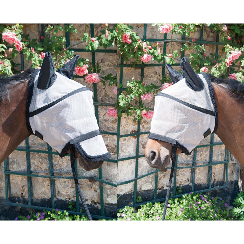 TdeT- Bonnet De Pre Arceau B.M sellerie