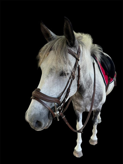 Canter- Bridon surpiqué Caracole
