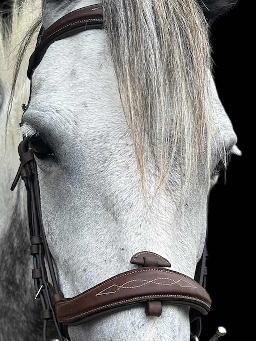 Canter- Bridon surpiqué Caracole