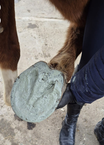 EKIZEN - Argile Sabot Zen B.M sellerie