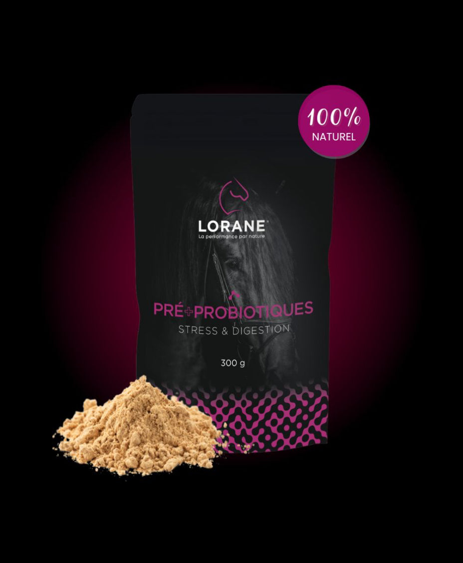 Lorane- Pré + Probiotiques