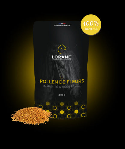 Complément alimentaire cheval BM sellerie
