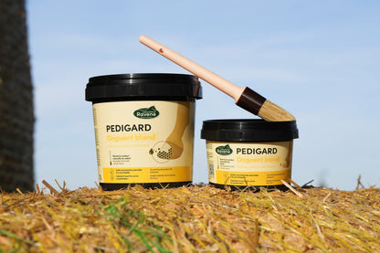 Ravene - Pedigard Onguent Blond B.M