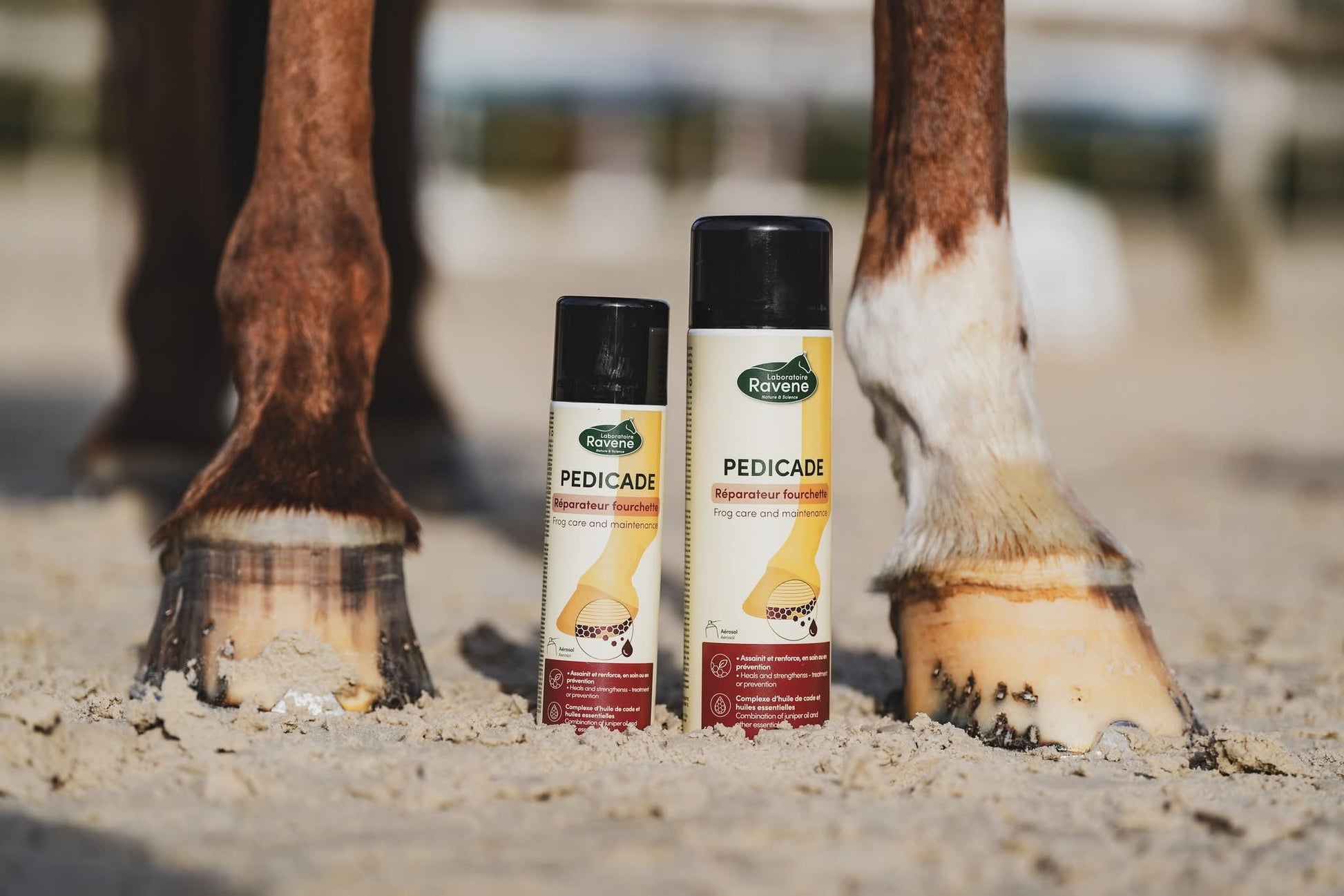Ravene - Pedicade B.M