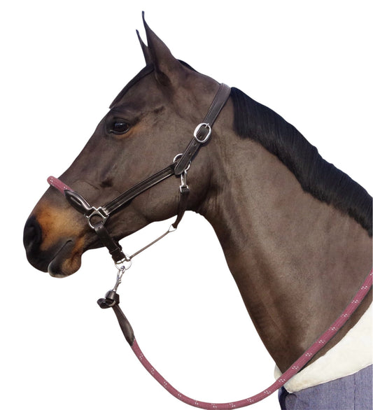 Canter- Licol corde marron/vieux rose B.M sellerie